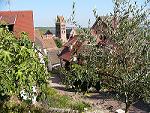 gite a Gueberschwihr, village pittoresque en Alsace