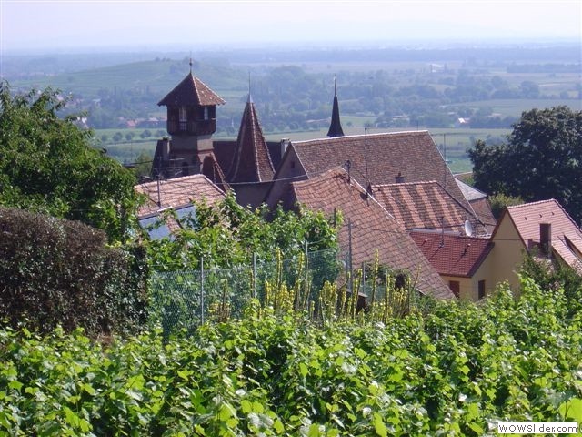 Gueberschwihr, vue du vignoble