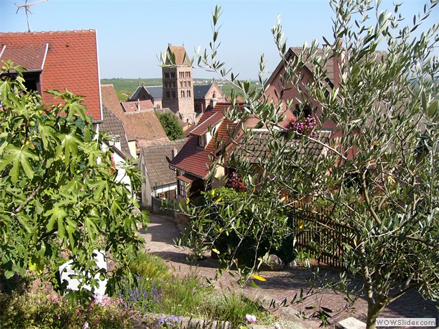 Gueberschwihr, rue des mouches 