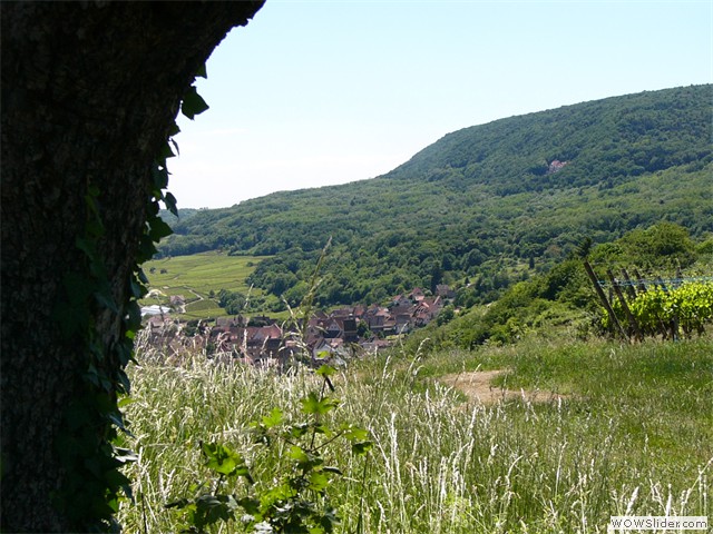 Vue sur Gueberschwihr