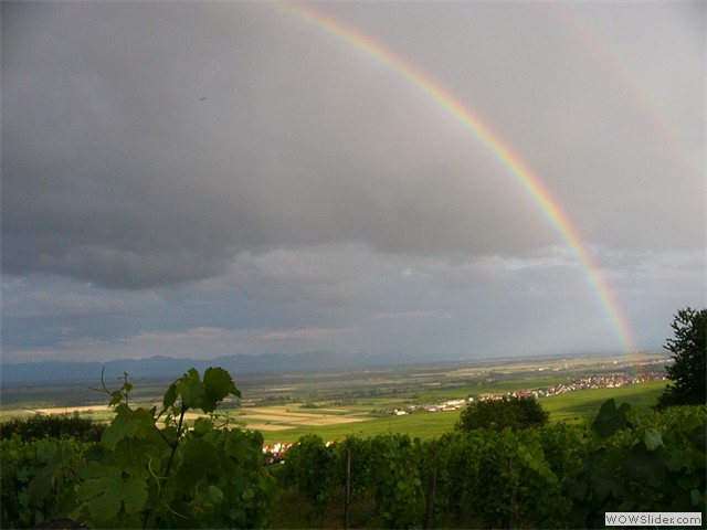 Gueberschwihr, paysage 