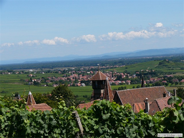 Gueberschwihr, vue sur la plaine