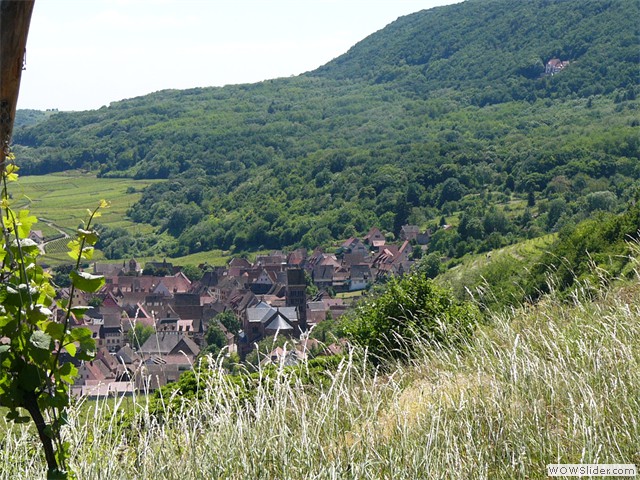 Vue sur Gueberschwihr