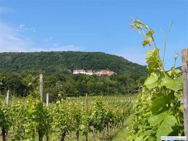 Schauenberg près de Gueberschwihr