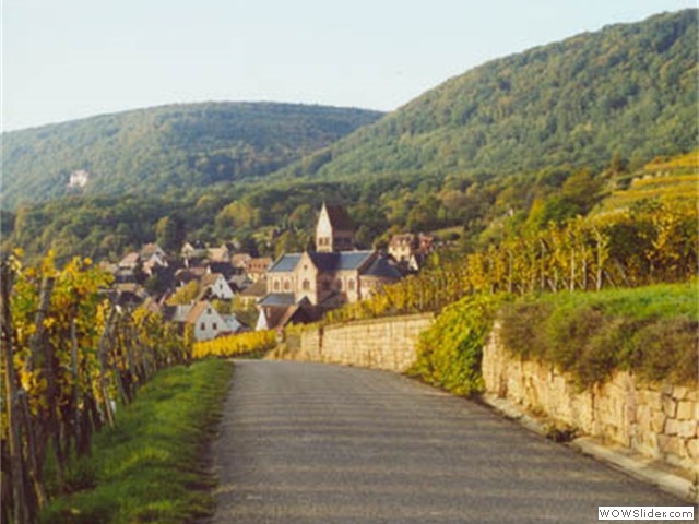 Vue sur Gueberschwihr