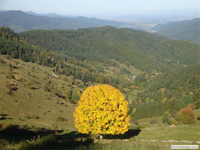 Les Vosges