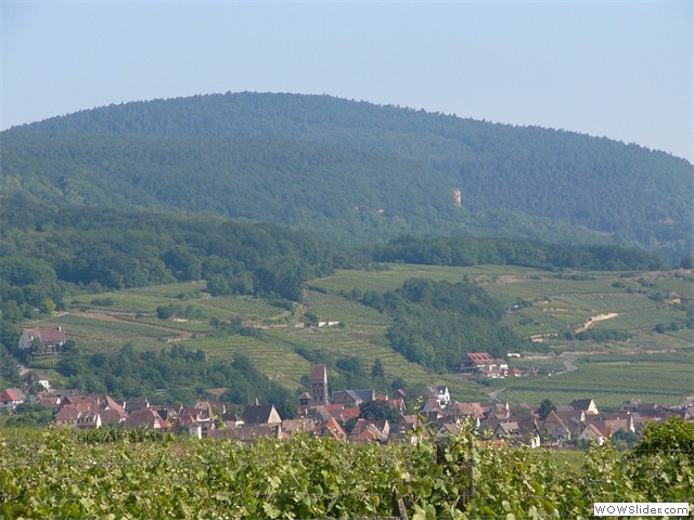 Gueberschwihr, route des vins d'Alsace 